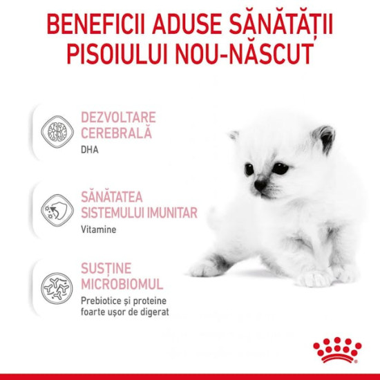 Royal Canin Babycat Milk – Înlocuitor de Lapte Matern pentru Pisoi – 300 g